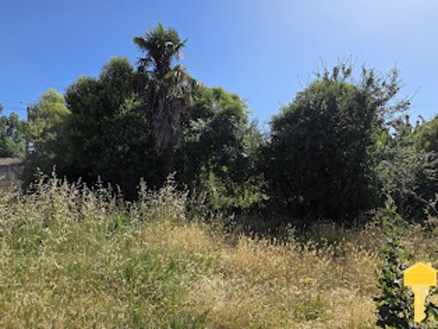 Vente Maison 6 pièces 153 m2 Saint Thomas de Conac