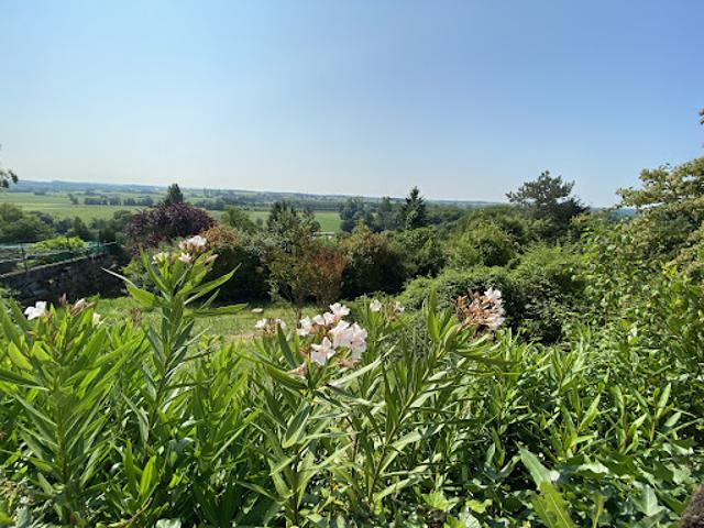 Vente Maison 6 pièces 165 m2 Mosnac Saint Simeux