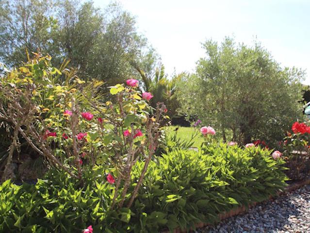 Vente Maison 6 pièces 165 m2 Cambon D Albi