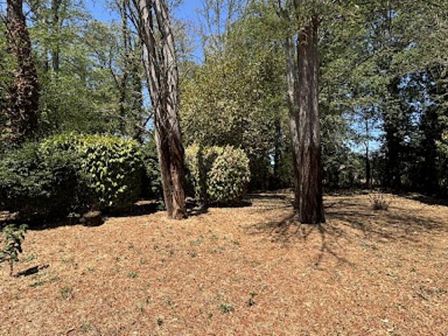 Vente Maison 6 pièces 167 m2 Pessac