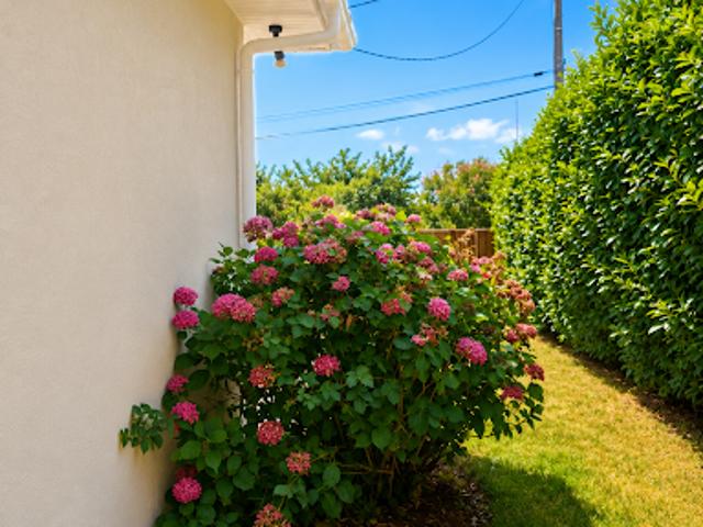 Vente Maison 6 pièces 160 m2 Saint Médard en Jalles