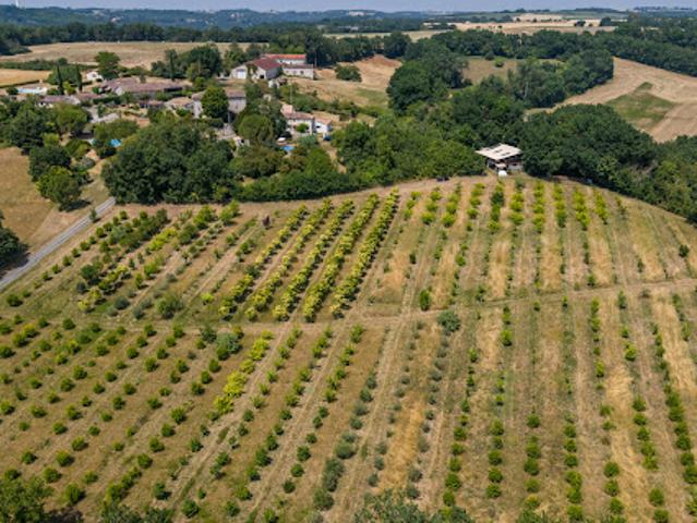 Vente Maison 6 pièces 170 m2 Saint Maurin