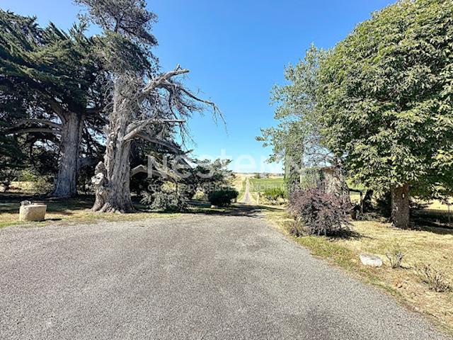 Vente Maison 6 pièces 185 m2 Nougaroulet