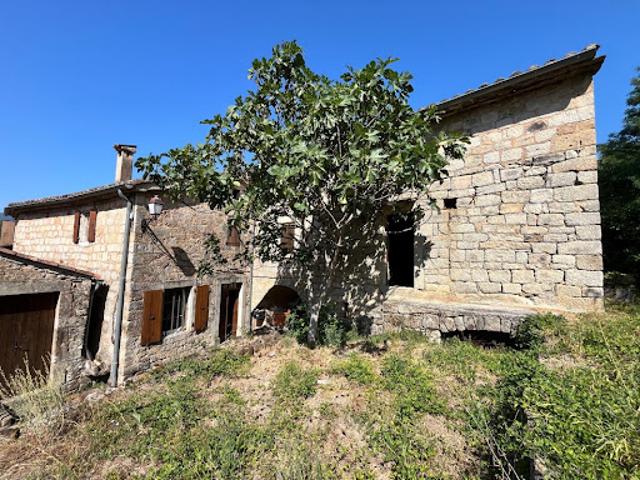 Vente Maison 6 pièces 185 m2 Chambonas