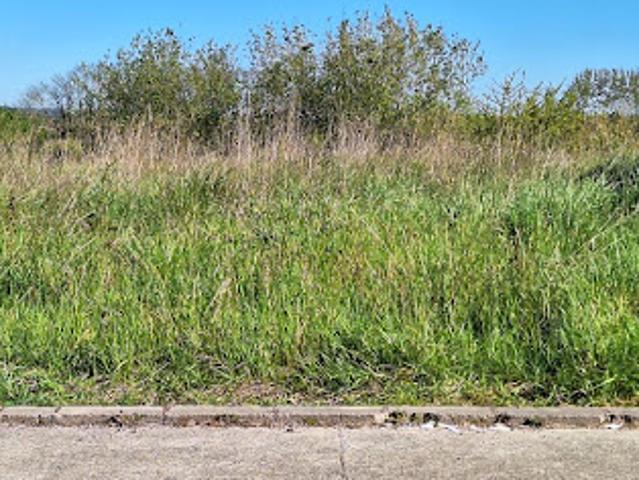 Vente Maison 6 pièces 186 m2 Cornebarrieu