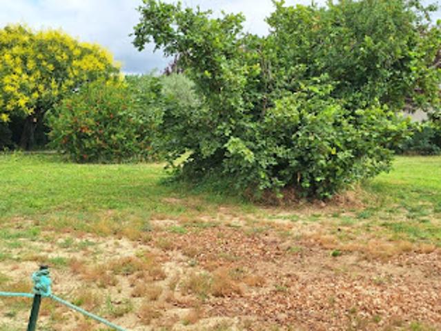 Vente Maison 6 pièces 186 m2 Thil