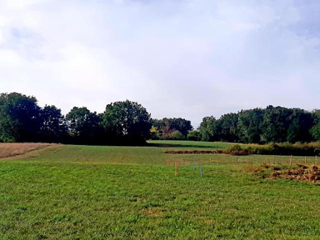 Vente Maison 6 pièces 186 m2 Verfeil