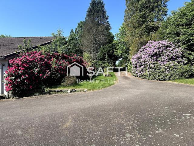 Vente Maison 6 pièces 188 m2 Le Thillot
