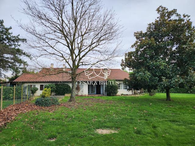 Vente Maison 6 pièces 180 m2 Saint Trivier sur Moignans