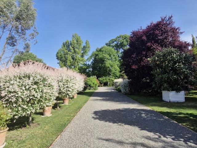 Vente Maison 6 pièces 183 m2 Morcenx