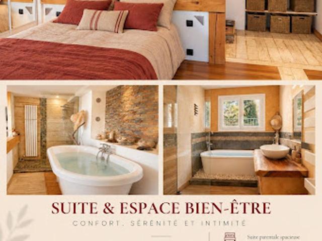 Vente Maison 6 pièces 195 m2 Pierrevert