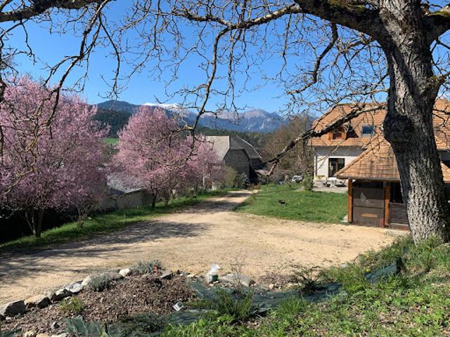 Vente Maison 6 pièces 199 m2 Saint Baudille et Pipet