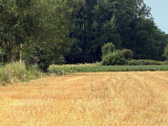 Vente Maison 6 pièces 190 m2 Villers sur Authie