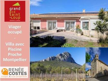 Comédie, La Languedocienne Montpellier, Maurin, Hérault, Languedoc-Roussillon