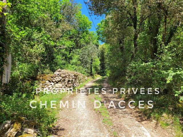 Vente Maison 6 pièces 203 m2 Les Eyzies