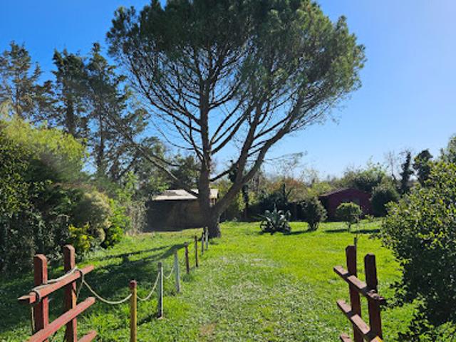 Vente Maison 6 pièces 214 m2 Charron