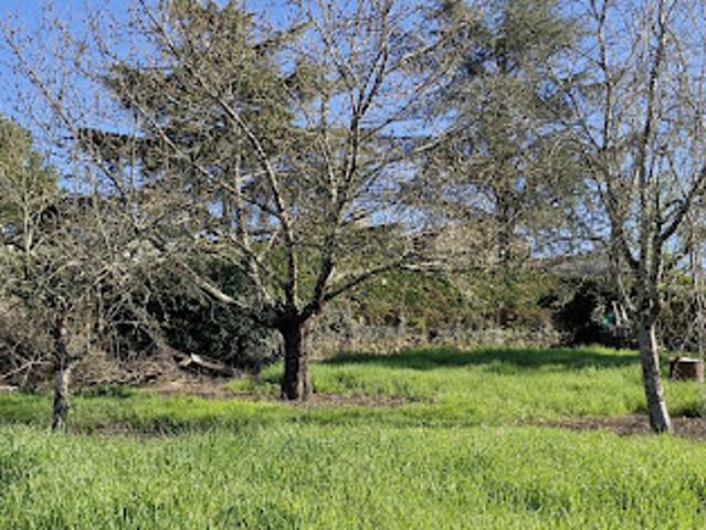 Vente Maison 6 pièces 215 m2 Gensac