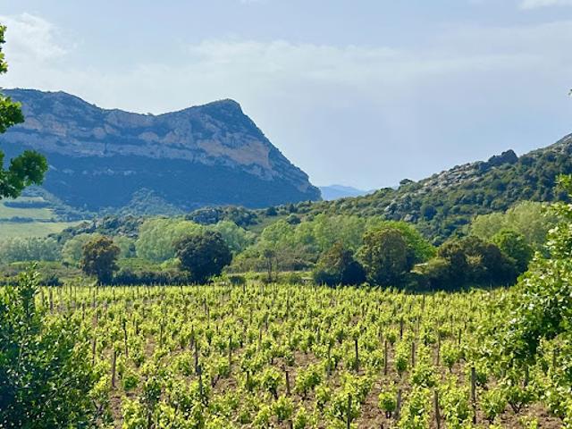 Vente Maison 6 pièces 218 m2 Saint Florent