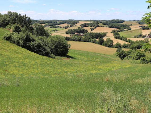 Vente Maison 6 pièces 225 m2 Laveraët