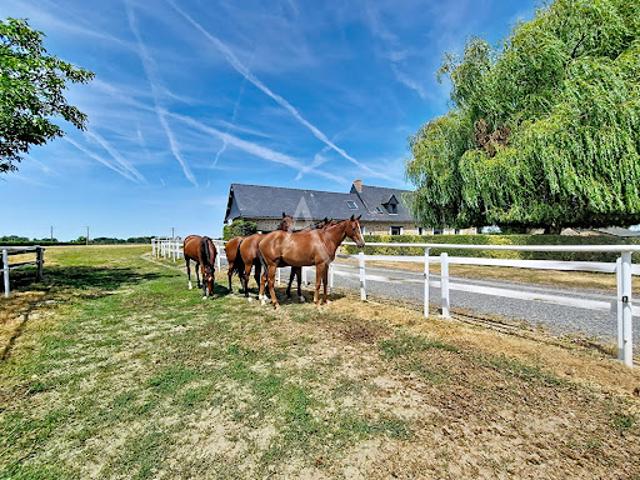 Vente Maison 6 pièces 230 m2 Saint Martin du Bois