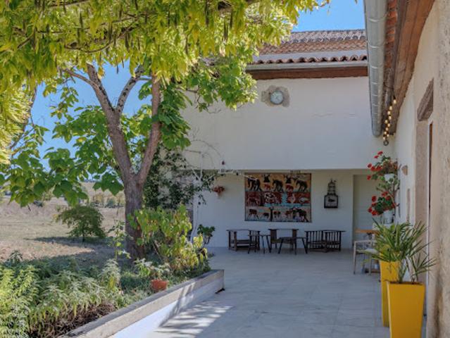 Vente Maison 6 pièces 241 m2 Moncrabeau