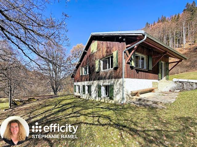 Vente Maison 6 pièces 250 m2 Mont Saxonnex