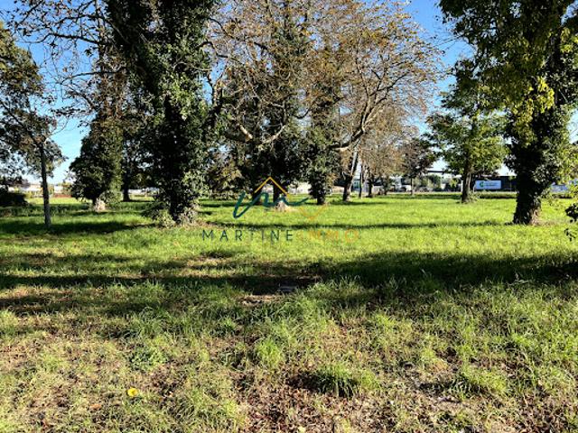 Vente Maison 6 pièces 250 m2 Fauillet