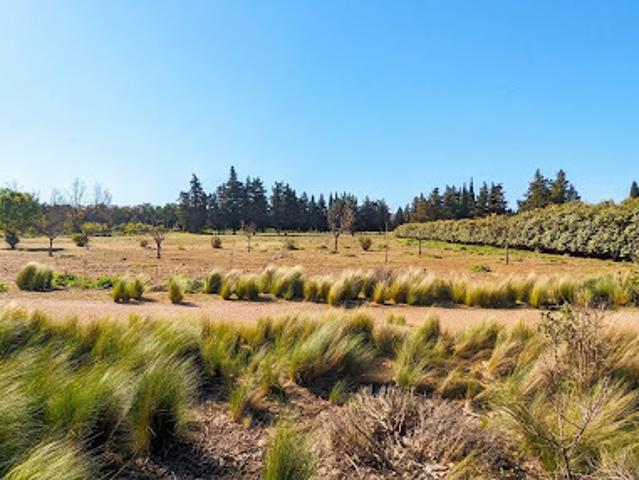 Vente Maison 6 pièces 275 m2 Mollégès