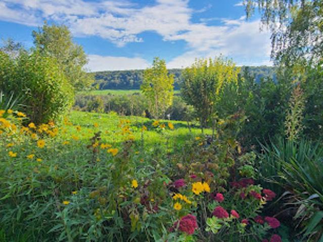 Vente Maison 6 pièces 296 m2 Lisieux