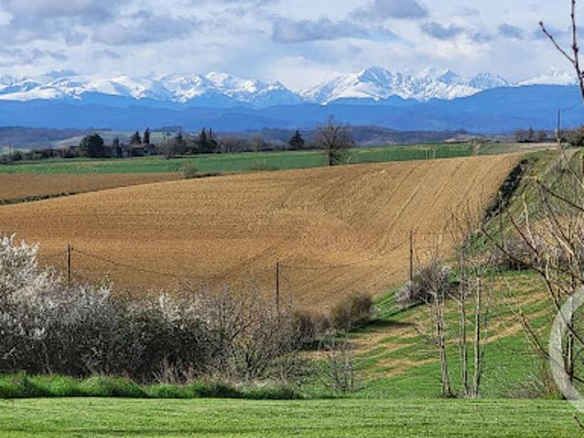 Vente Maison 8 pièces 300 m2 Belpech