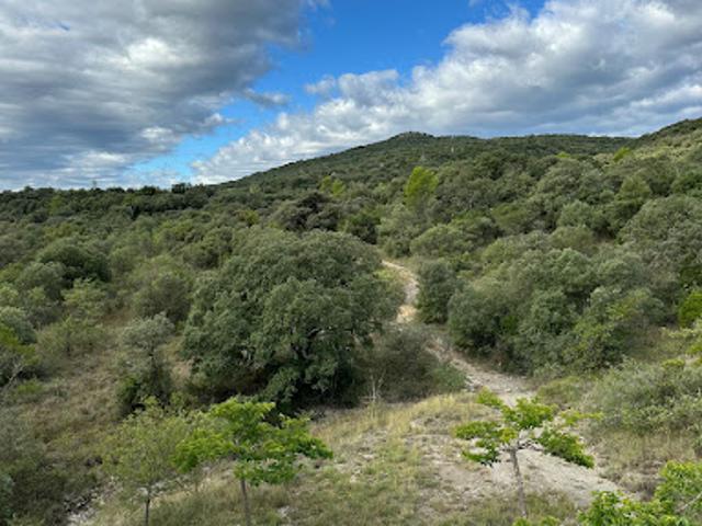Vente Maison 6 pièces 300 m2 Durfort et Saint Martin de Sossenac