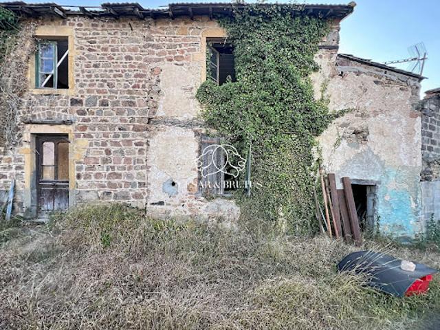Vente Maison 6 pièces 750 m2 Saint Jean Saint Maurice sur Loire