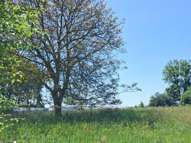 Vente Maison 6 pièces 93 m2 Argoules