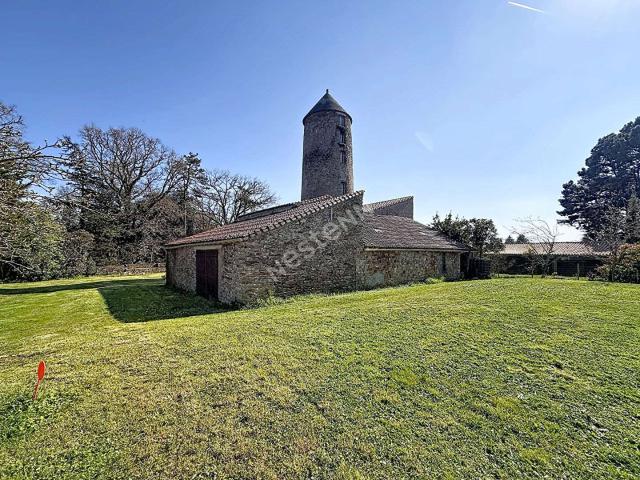 Vente maison 6 pièces Le Cellier 44