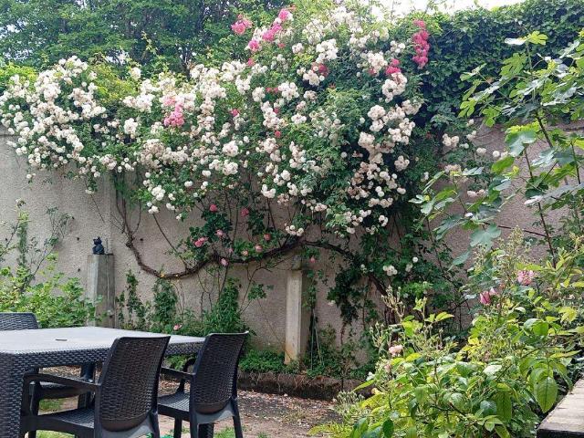 Vente maison 6 pièces Rocquencourt 78