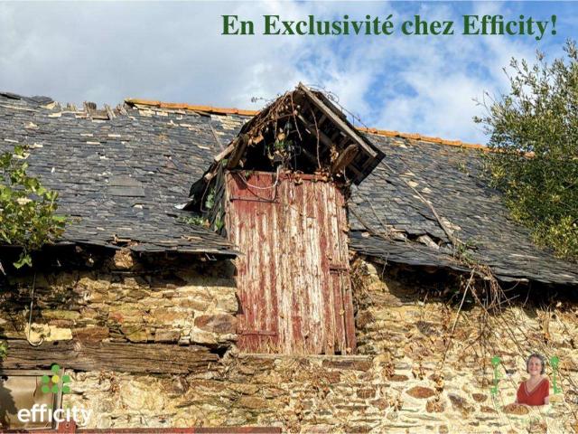 Vente maison 6 pièces Vitré Campagne 35