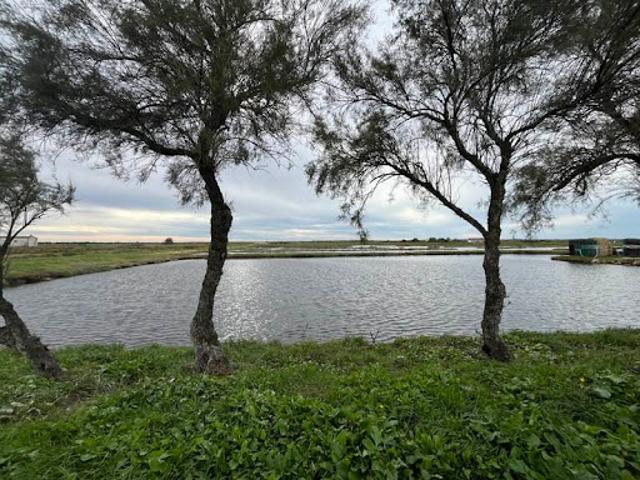 Vente Maison 0 pièces 85 m2 Nieulle sur Seudre