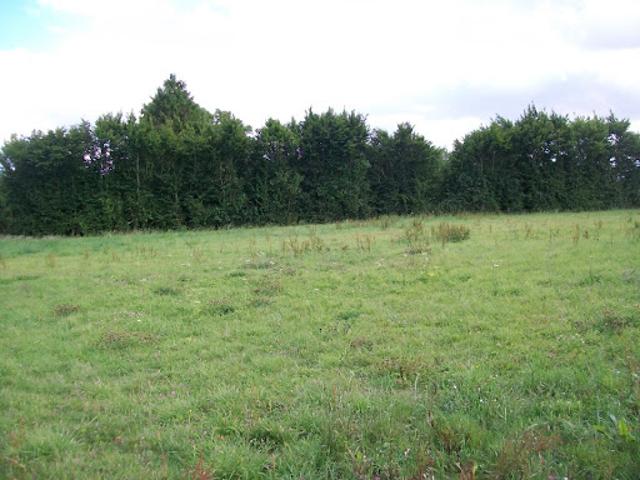 Vente Maison 8 pièces 145 m2 Bachivillers