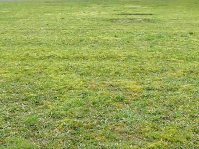 Vente Maison 8 pièces 140 m2 Passais Villages