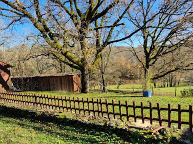 Vente Maison 8 pièces 154 m2 Les Eyzies