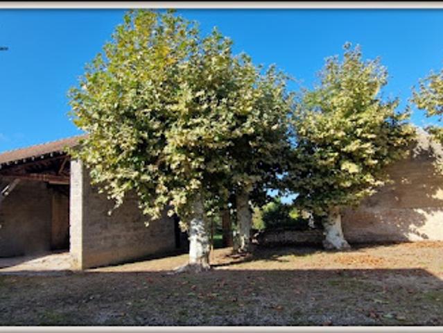Vente Maison 8 pièces 180 m2 Reyssouze