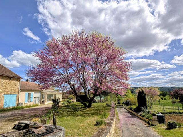 Vente Maison 8 pièces 198 m2 Duravel