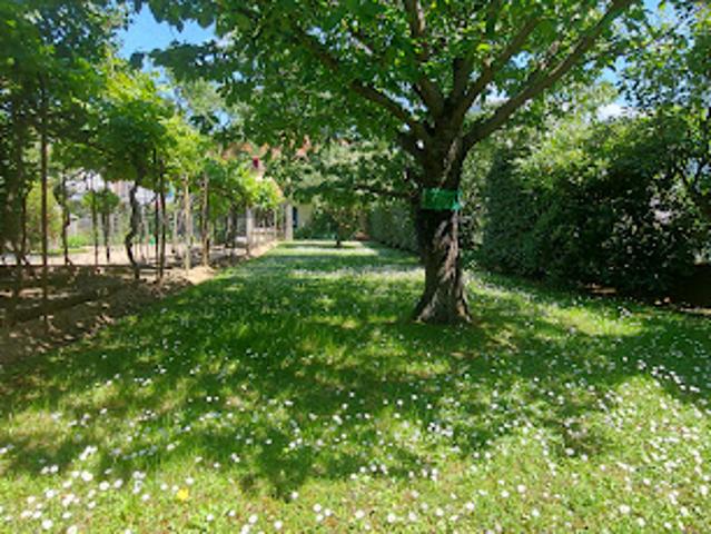 Vente Maison 8 pièces 208 m2 Blagnac