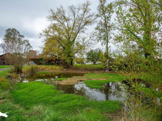 Vente Maison 8 pièces 200 m2 Mourens