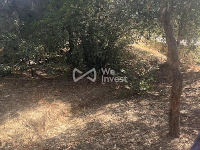 Vente Maison 8 pièces 200 m2 Lucciana