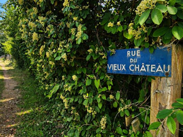 Vente Maison 8 pièces 210 m2 Sassetot le Mauconduit