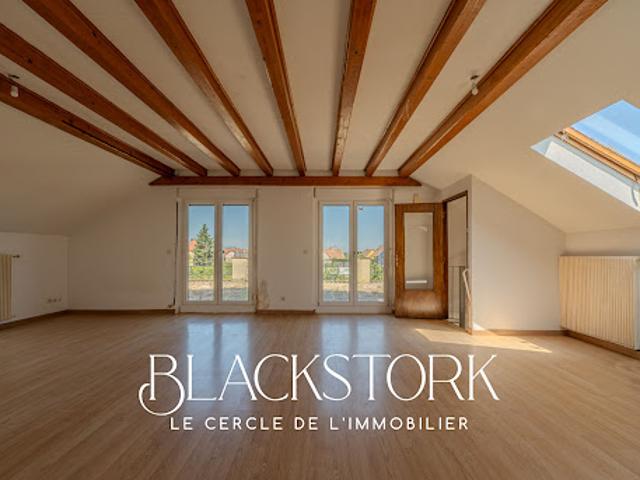 Vente Maison 8 pièces 212 m2 Hettenschlag