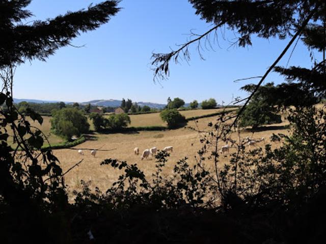 Vente Maison 8 pièces 220 m2 Saint Didier sur Arroux