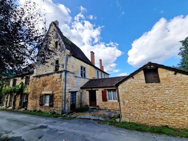 Vente Maison 8 pièces 220 m2 Sergeac