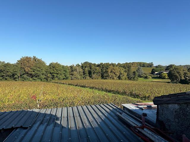 Vente Maison 8 pièces 220 m2 Tauriac